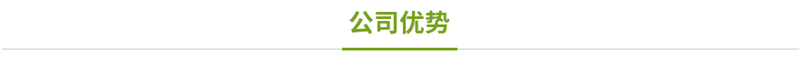 公司优势